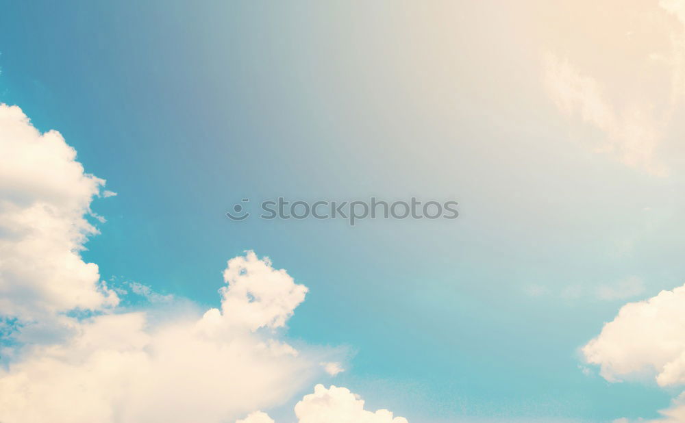 Similar – Image, Stock Photo Palermo Cathedral texture background