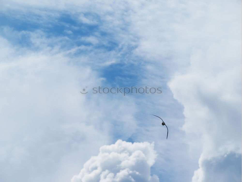 Similar – Image, Stock Photo winter Nature Sky Winter