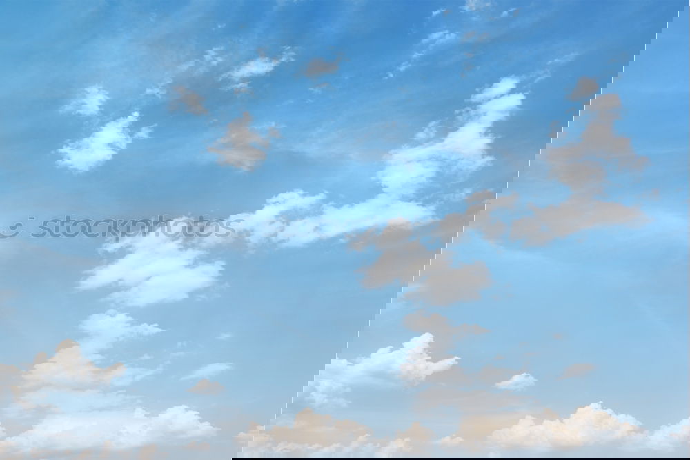 Similar – Foto Bild Ausschau nach Frühling