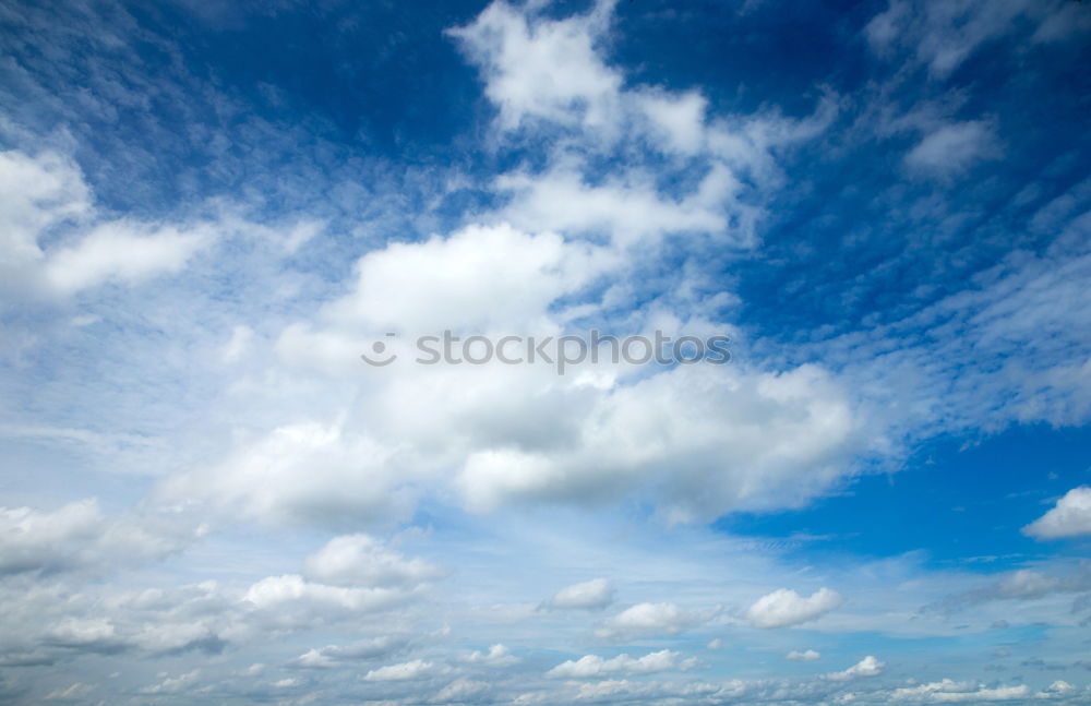 Similar – Foto Bild Wolken- und Baumfriseur