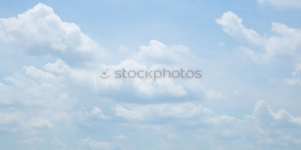 Similar – Image, Stock Photo green lung Environment