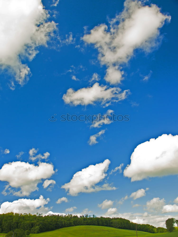 Similar – Image, Stock Photo View over the river Elbe in Magdeburg