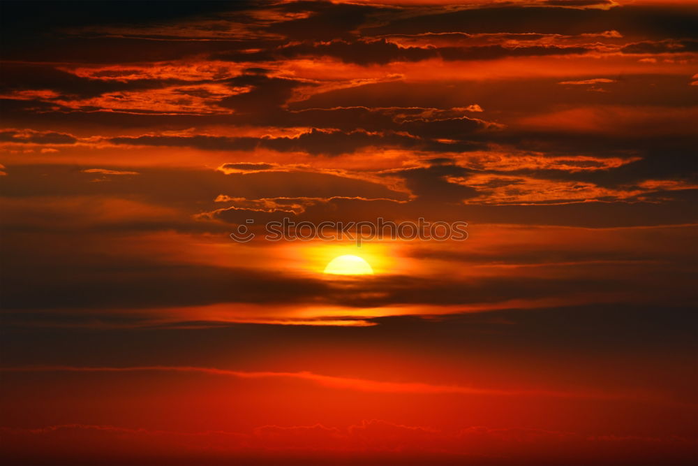 Similar – Image, Stock Photo blazing sun Nature