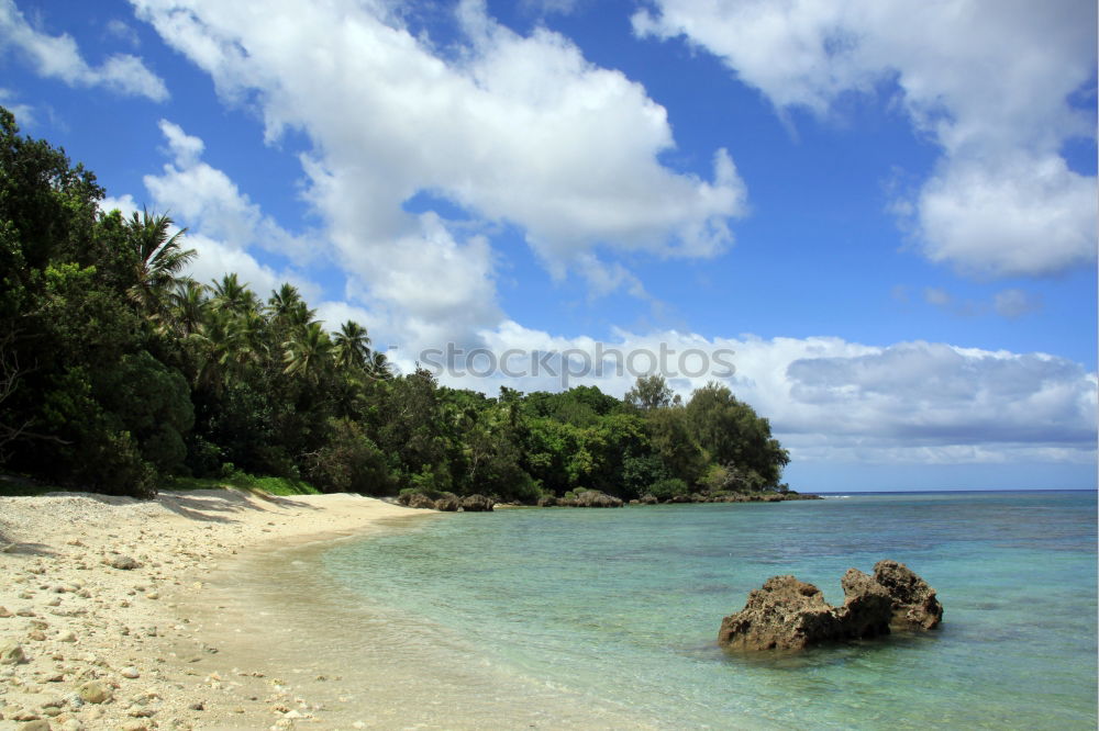 Similar – Beach in New Zealand