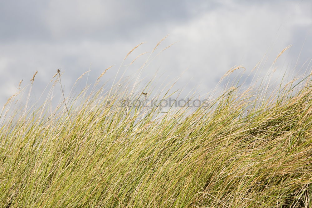 Similar – Image, Stock Photo On the edge of the world