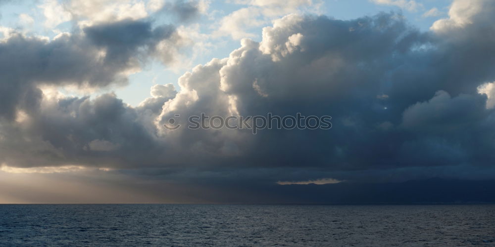 Similar – Image, Stock Photo Last Man Standing Gale