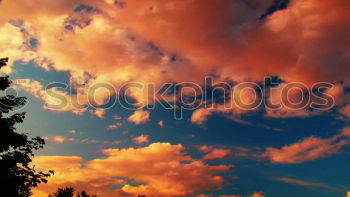 Similar – Image, Stock Photo New morning 2 Environment