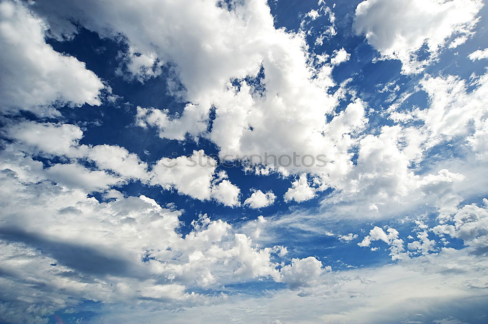 Similar – Foto Bild Fremde Welt Strand Meer