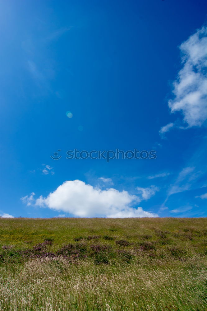 Similar – Image, Stock Photo grass border Environment