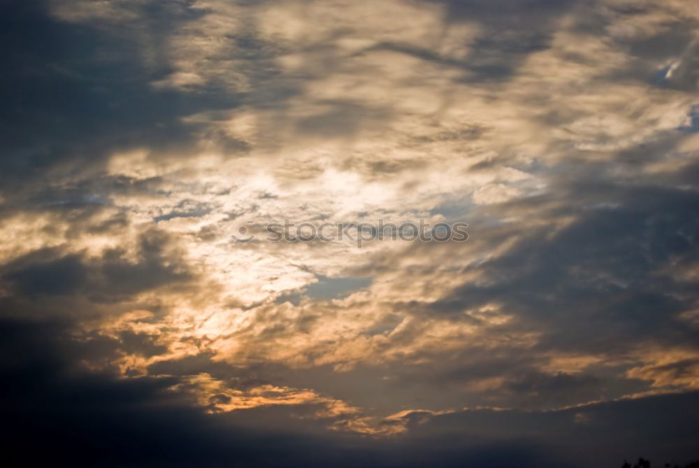 Similar – Schäfchen Wetterhahn