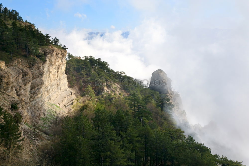 Similar – Ella rock, Sri Lanka Tea