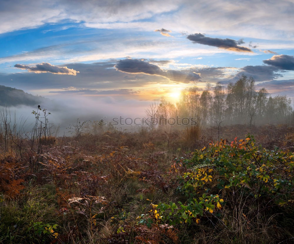 Similar – Image, Stock Photo good night Rock Mountain