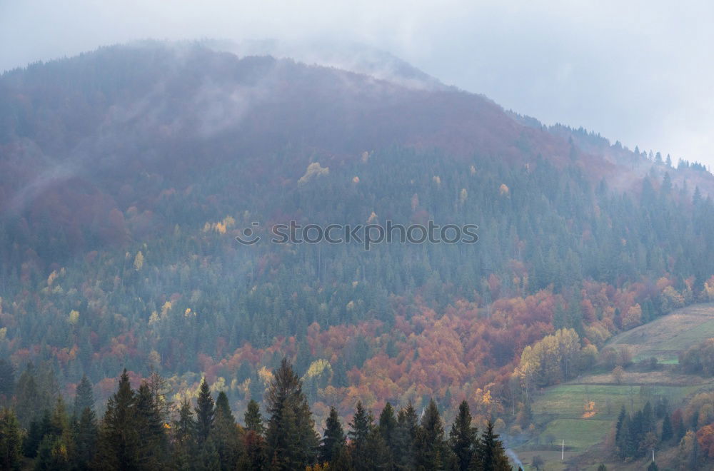 Similar – Image, Stock Photo fog Nature Landscape