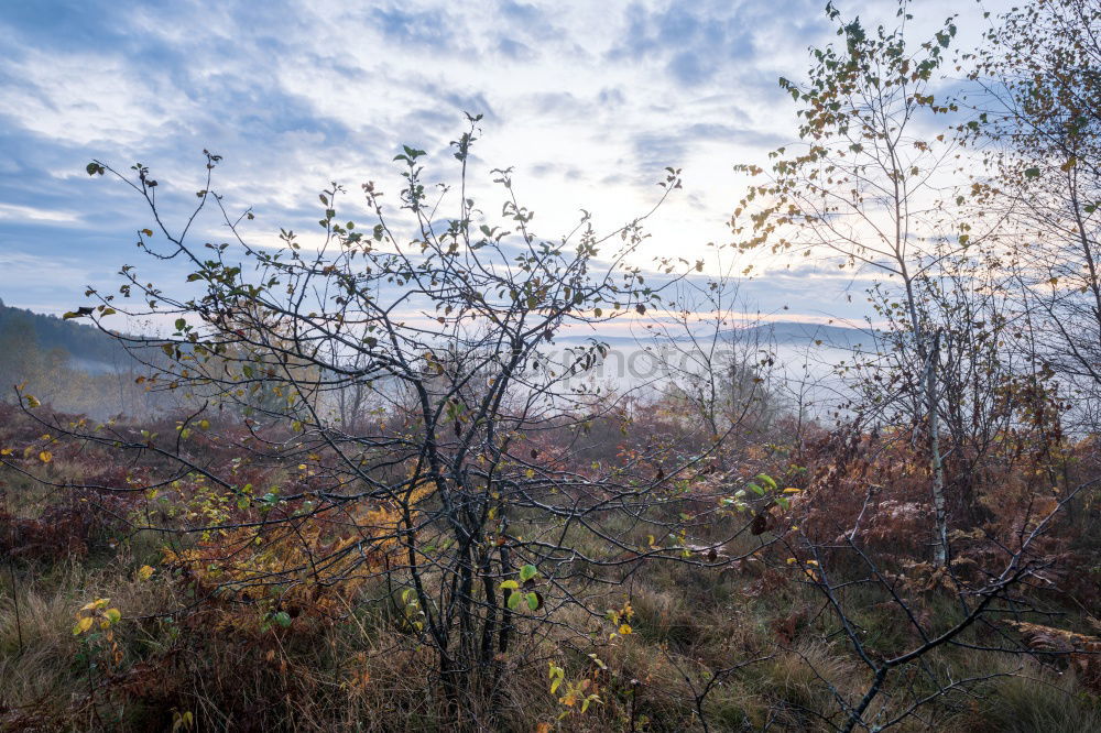 Similar – Image, Stock Photo dreary Far-off places