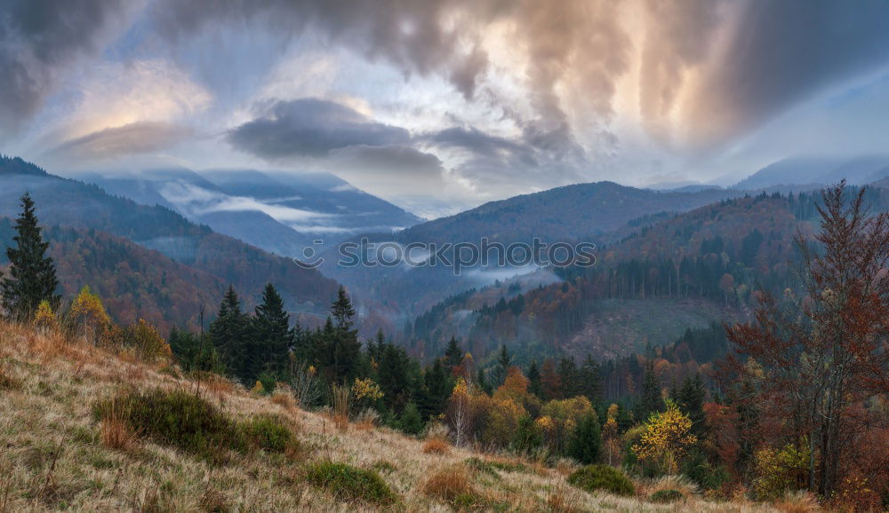 Similar – Image, Stock Photo fog Nature Landscape