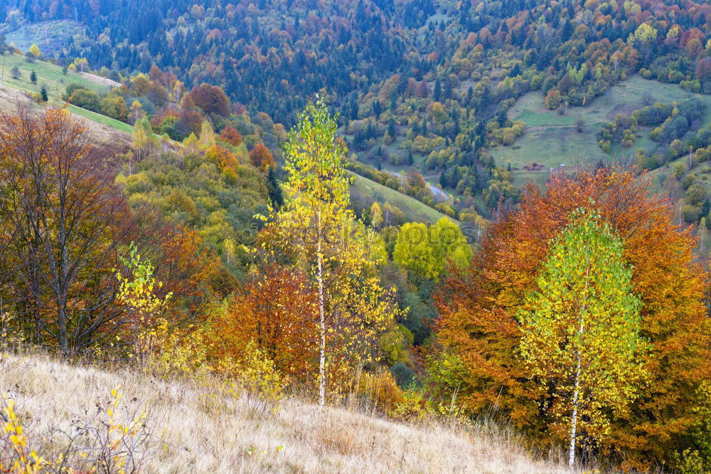 Similar – Image, Stock Photo Swabian Alb I Environment