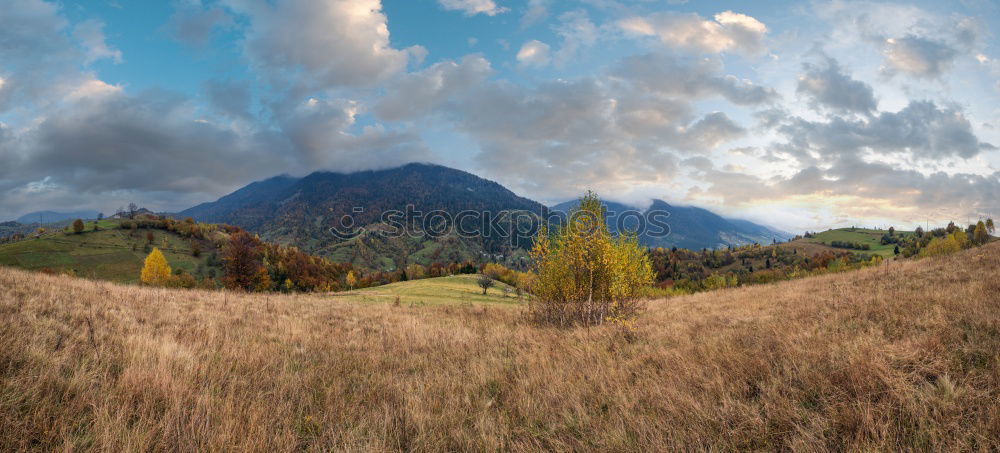 Muddy ground after rain in mountains. Extreme path