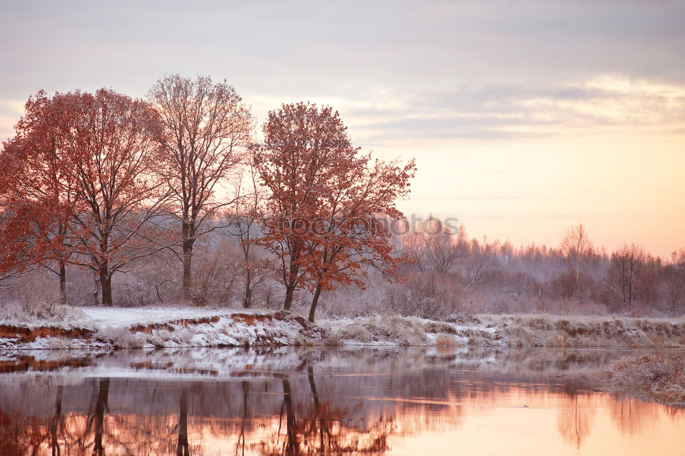 Similar – Winter sun at the lake