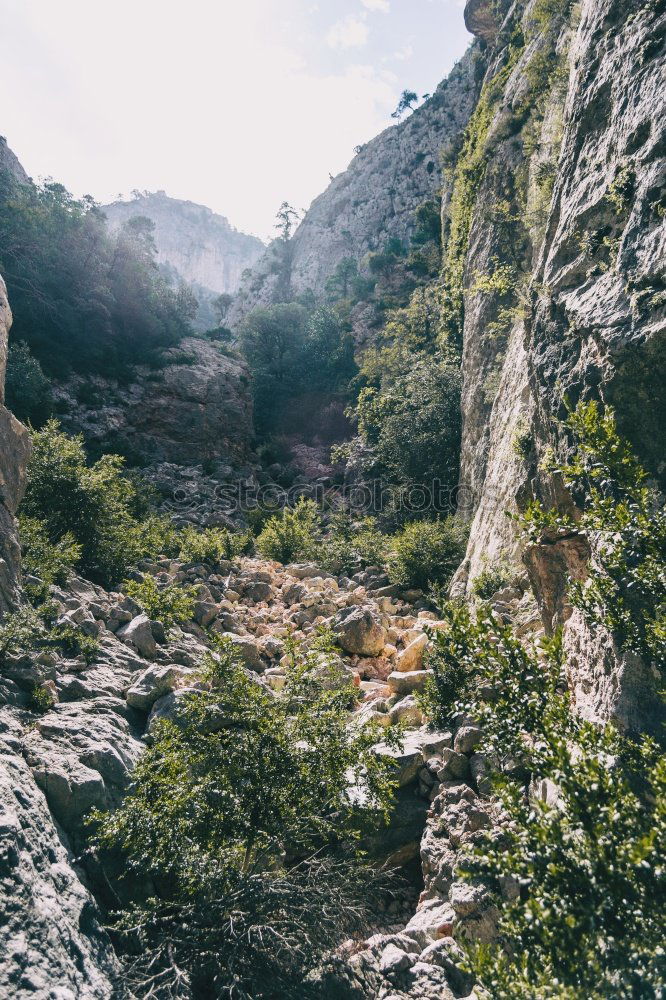 Similar – A detail of a cliff with a waterfall framed by the leaves of some trees