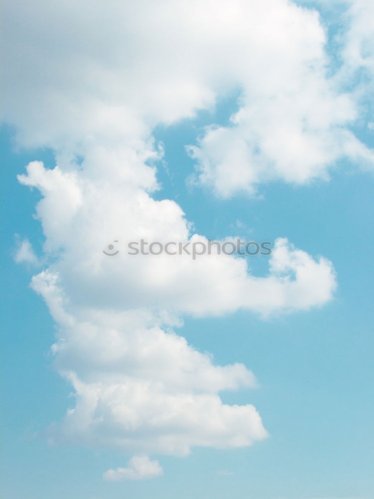 Similar – Image, Stock Photo green lung Environment