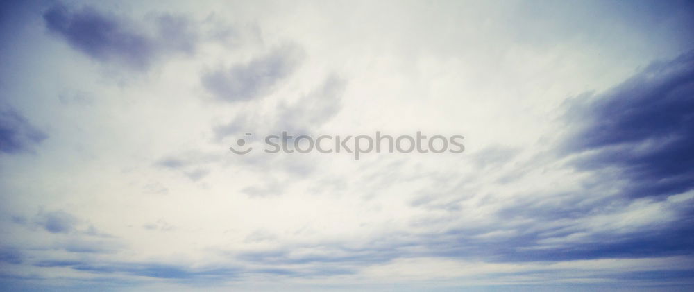 Similar – Image, Stock Photo Miss Liberty looks to Brooklyn Bridge