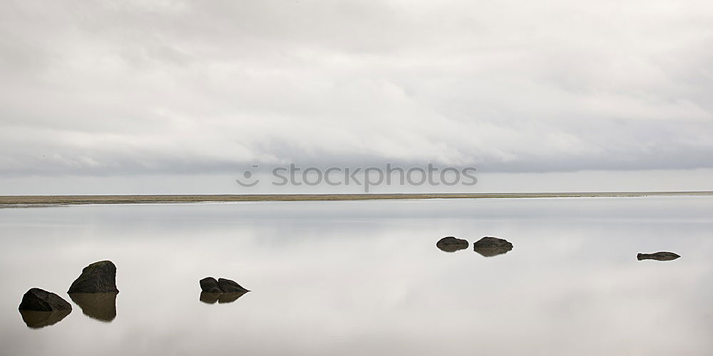 Similar – Image, Stock Photo the dive Lifestyle