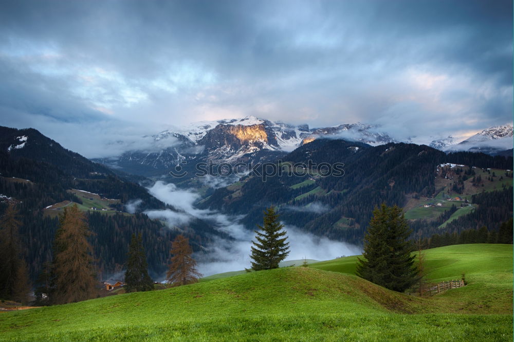 Similar – Seiser Alm harmonisch