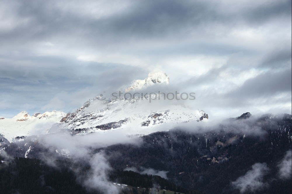 Similar – Image, Stock Photo Dolomites Forest White