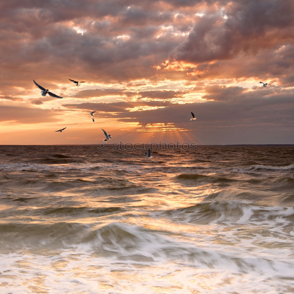 Similar – Image, Stock Photo waves Nature Water Sky