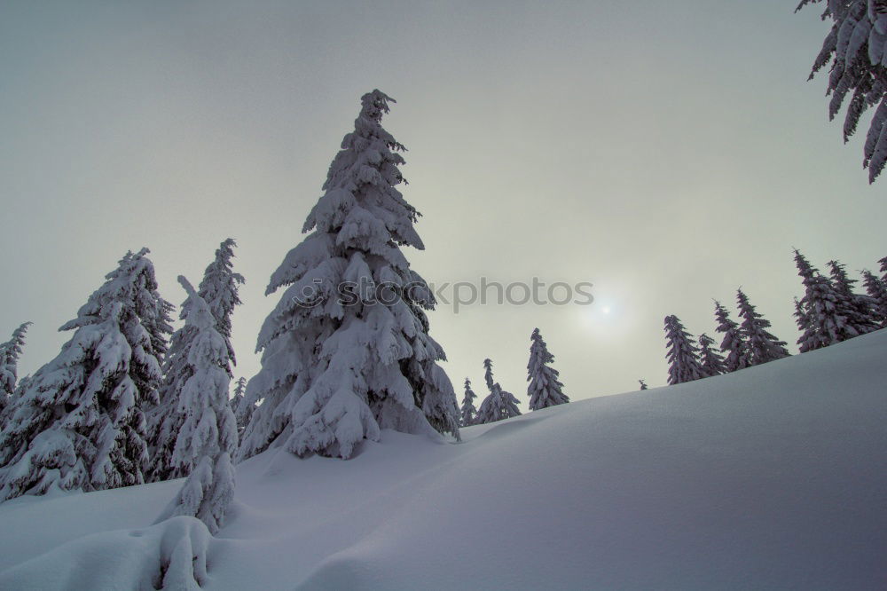 Similar – ***cool*** Sun Winter Snow