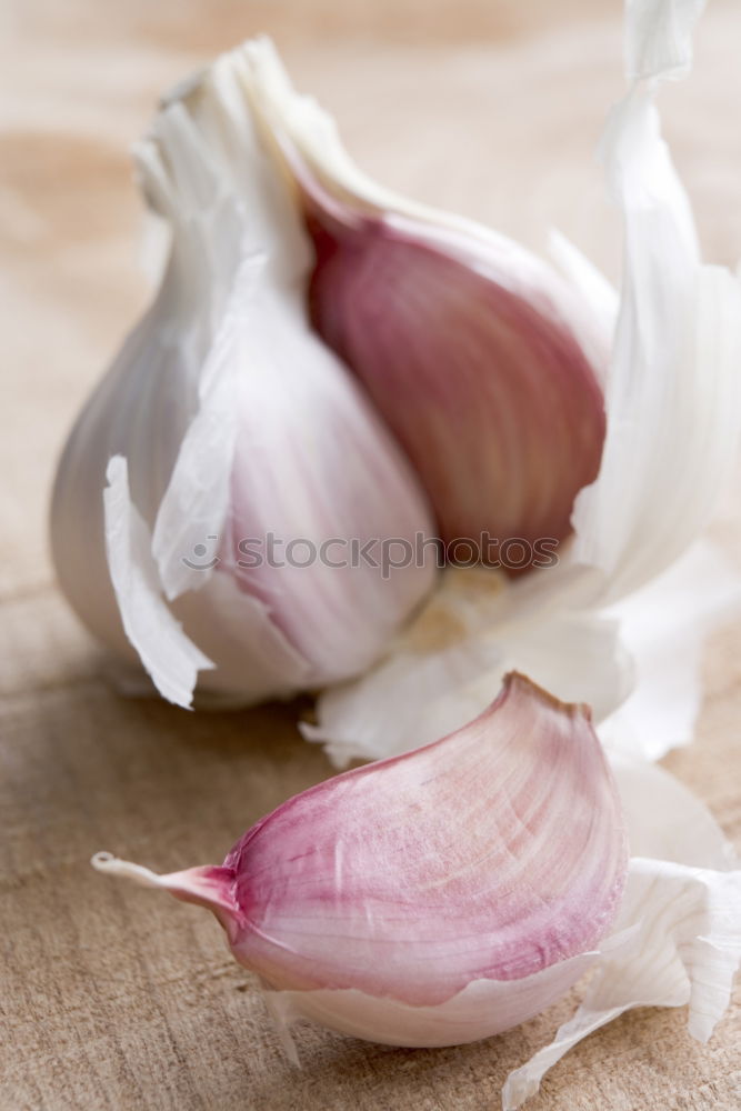 Similar – Image, Stock Photo Garlic and rosemary