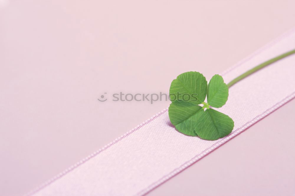 Similar – Image, Stock Photo give luck Lifestyle Design