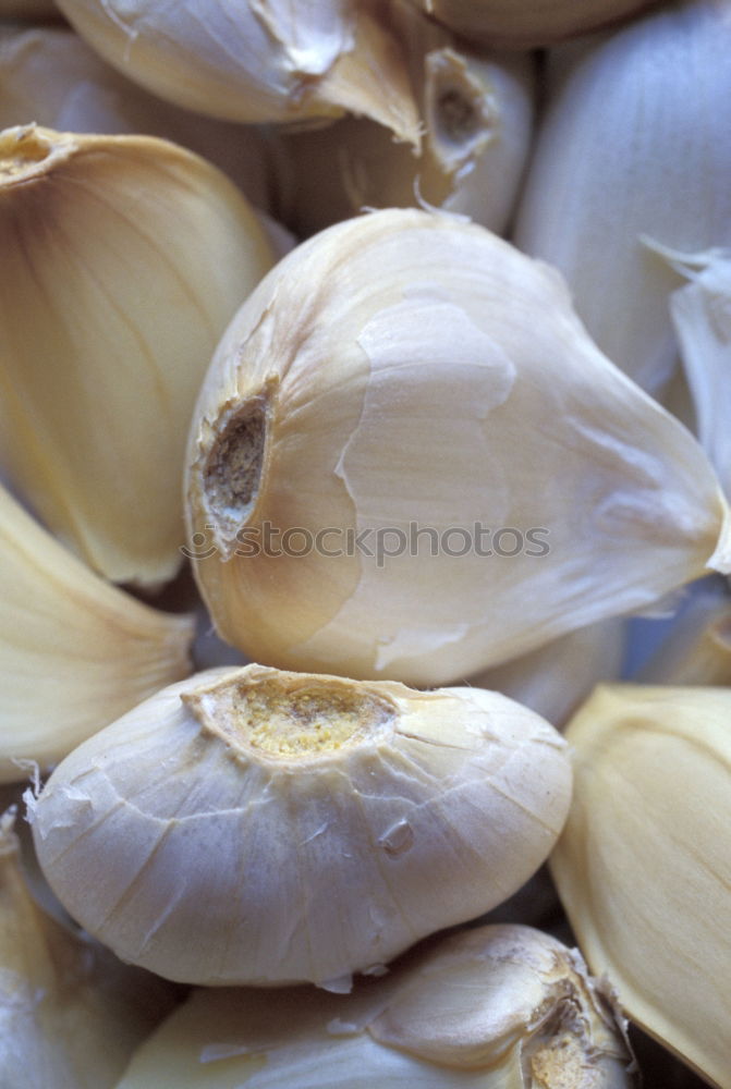 Similar – Image, Stock Photo mushroom loon Food