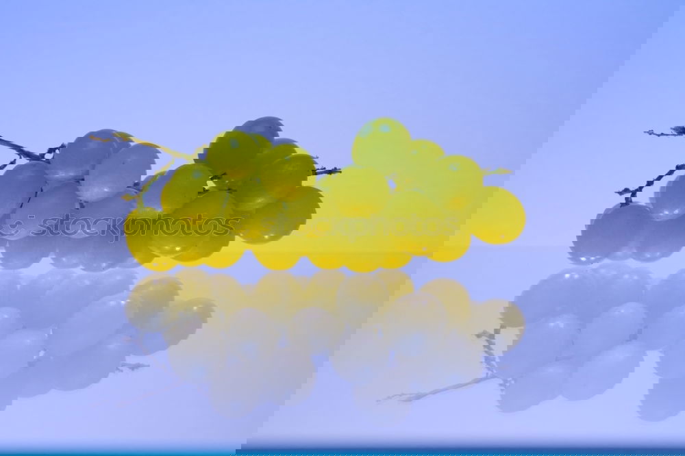 Similar – Image, Stock Photo #A# Ghetto grapes Art