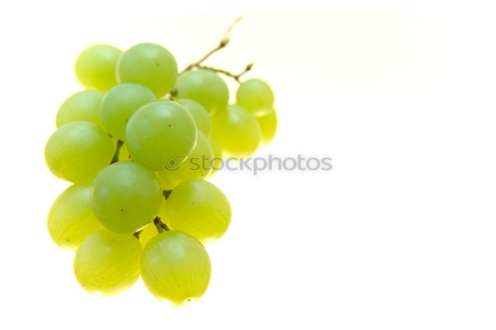 Similar – Woman’s hand holding ripe green grape