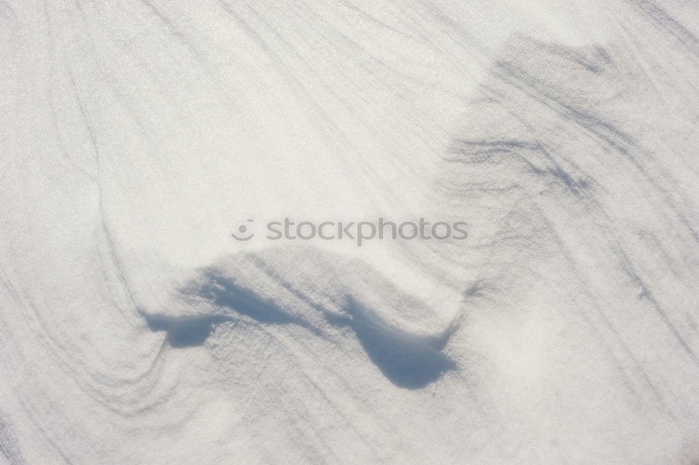 Similar – Image, Stock Photo lucky penny Well