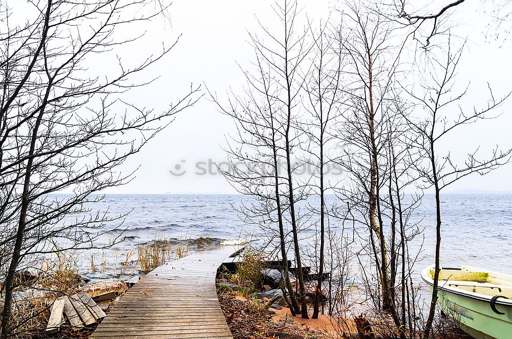 Similar – View from the window to the fjord