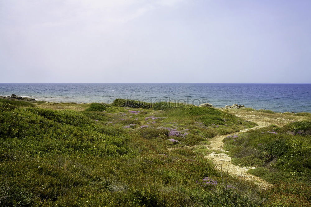 Similar – Foto Bild Aber-Fluss bei Ebbe