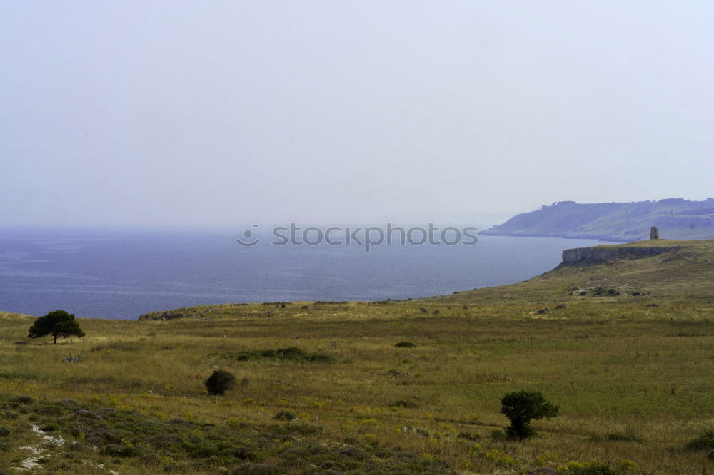 Similar – Image, Stock Photo Secluded Nature Landscape