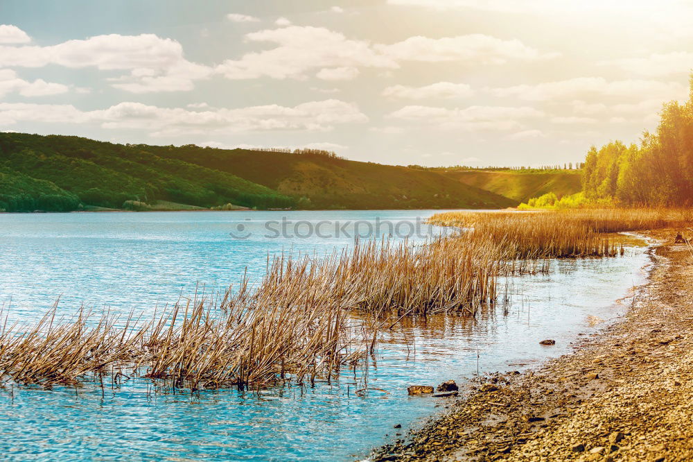 Similar – Image, Stock Photo bathing jetty Life