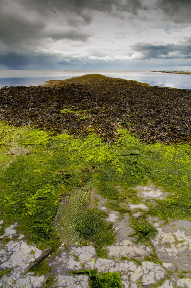 Similar – Atlantic Wall Tourism