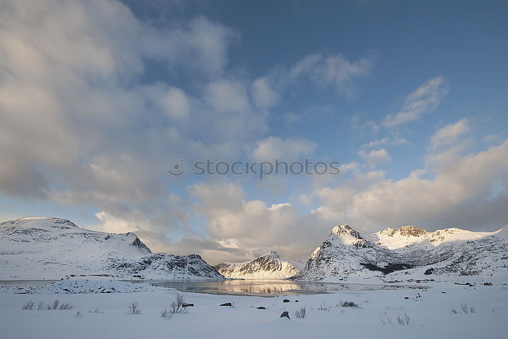 Similar – Image, Stock Photo sleigh ride Sleigh Winter