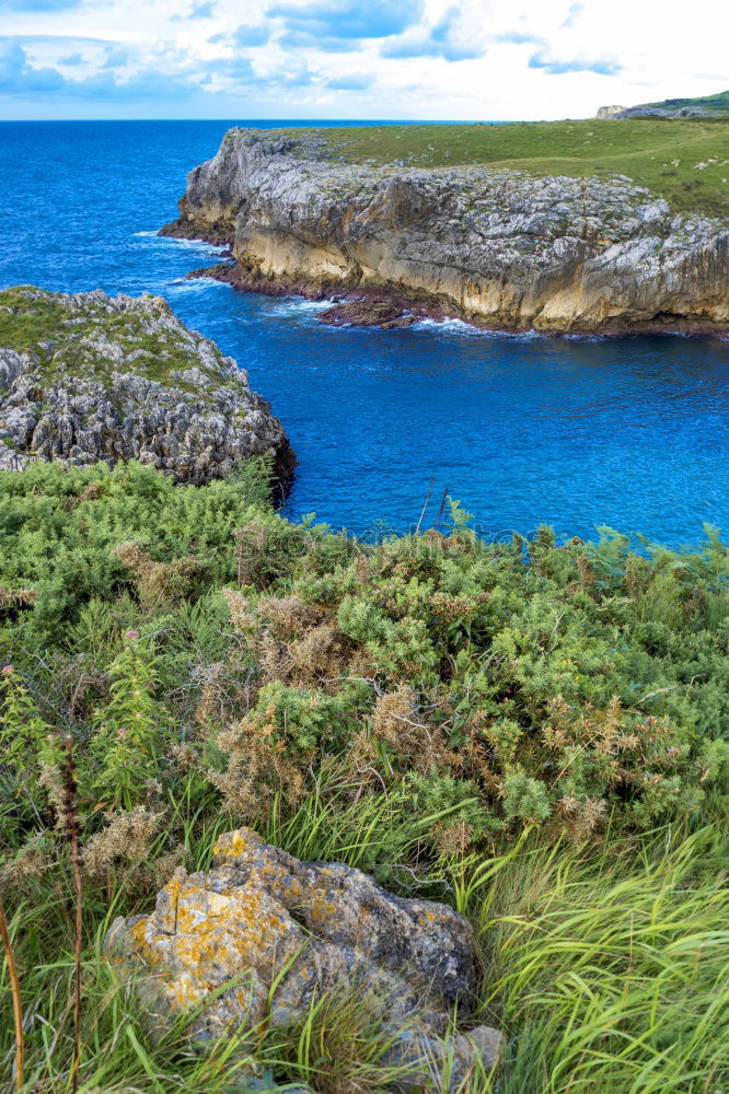 Similar – Image, Stock Photo Clachtoll Beach and campsite in Scotland