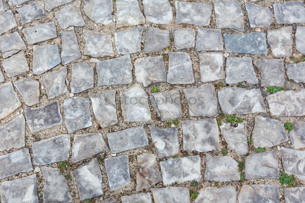 Similar – Aachen Paving Street