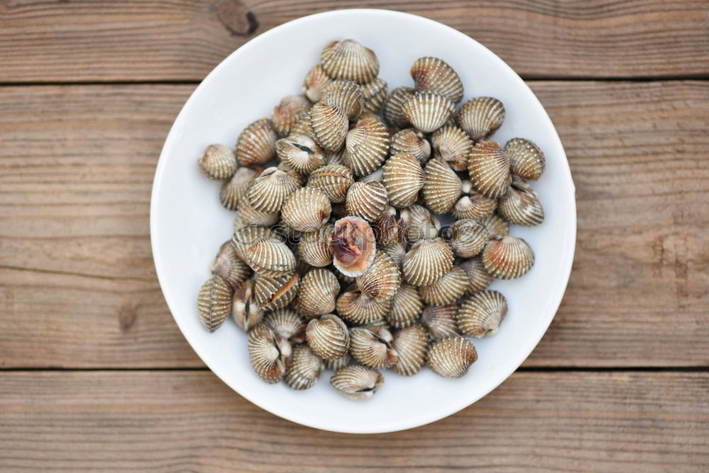 Similar – Image, Stock Photo Raw quail eggs Eating