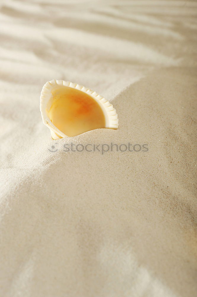 Image, Stock Photo Amber at the Baltic Sea beach