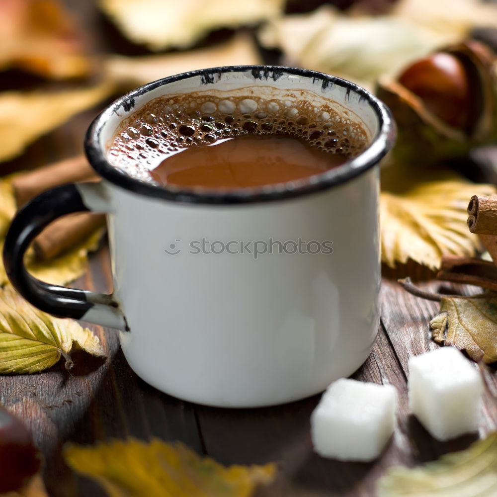 Similar – Drink hot chocolate with marshmallows