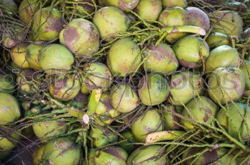 Similar – Image, Stock Photo Fig salad. Food Esthetic