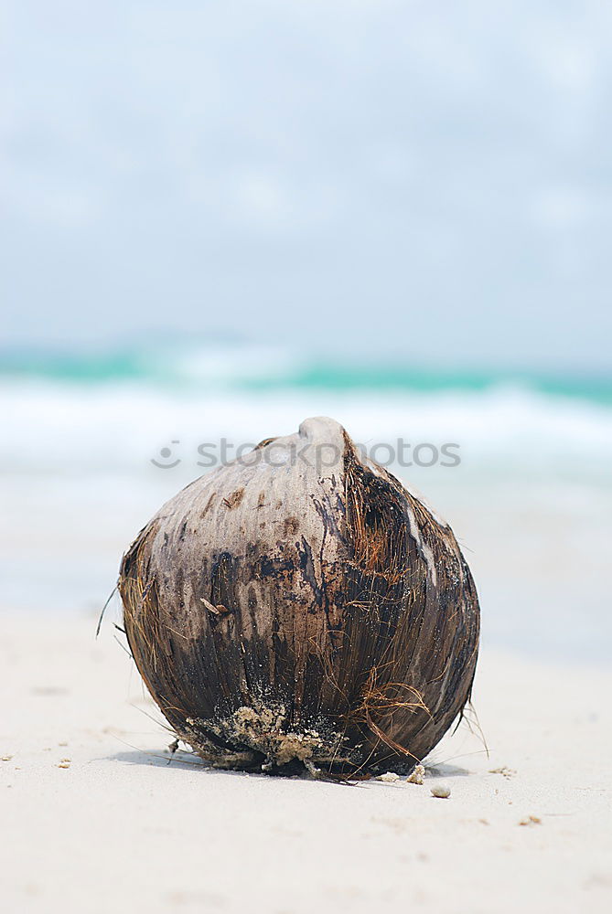 Similar – Foto Bild Eigenheimsiedlung Sand