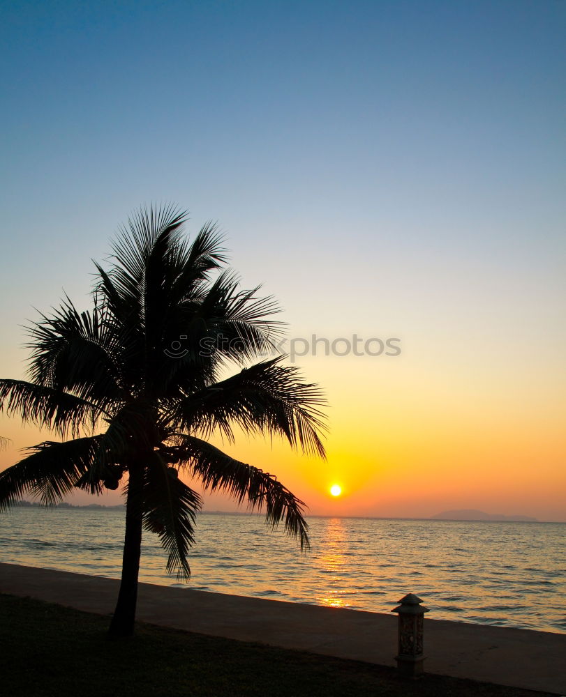 Similar – Image, Stock Photo the beach Beach Spain